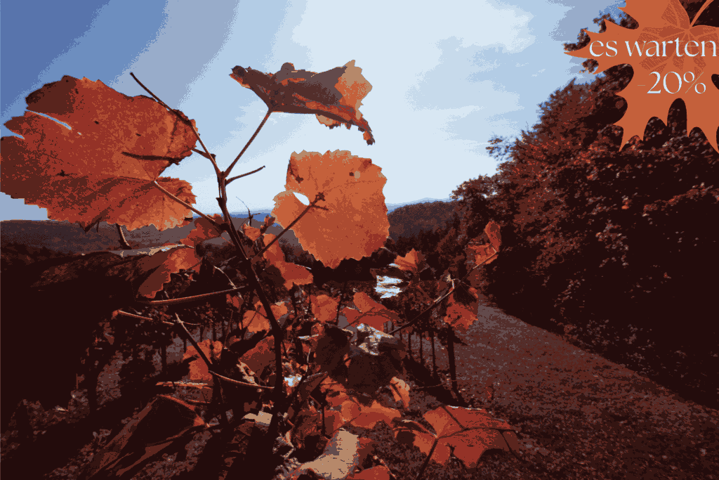Werbegrafik für ein 20 %-Herbstangebot . Das Bild zeigt orangerote Weinblätter in Nahaufnahme vor einer sonnigen, hügeligen Herbstlandschaft.