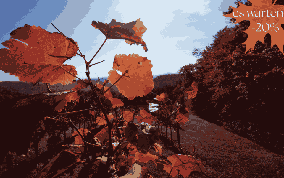Werbegrafik für ein 20 %-Herbstangebot . Das Bild zeigt orangerote Weinblätter in Nahaufnahme vor einer sonnigen, hügeligen Herbstlandschaft.