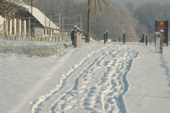 Ein verschneiter Wanderweg mit Fußspuren im Schnee laden zum Winterwandern ein.