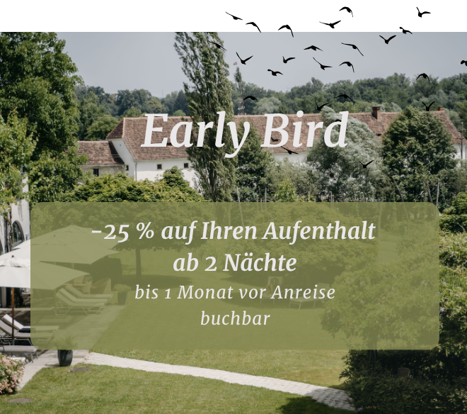 Im Hintergrund sieht man die Wellnessterrasse mit aufsteigenden Vögeln. Als Text im Bild steht Early Bird -25 %