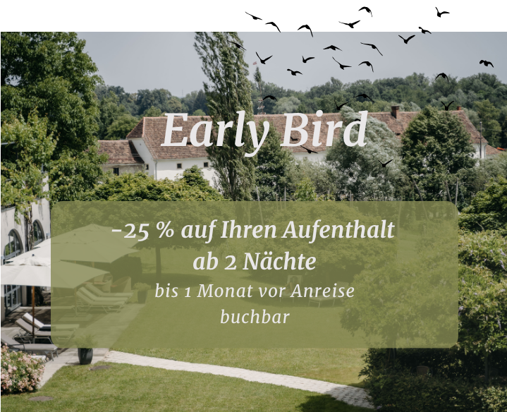 Im Hintergrund sieht man die Wellnessterrasse mit aufsteigenden Vögeln. Als Text im Bild steht Early Bird -25 %